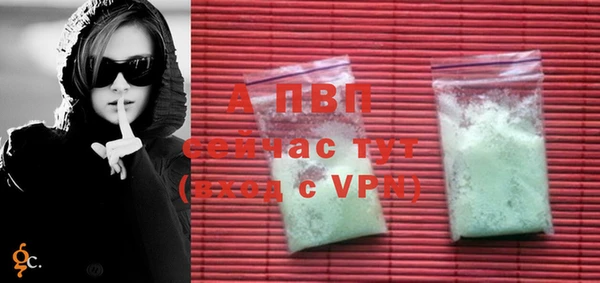 шишки Тайга