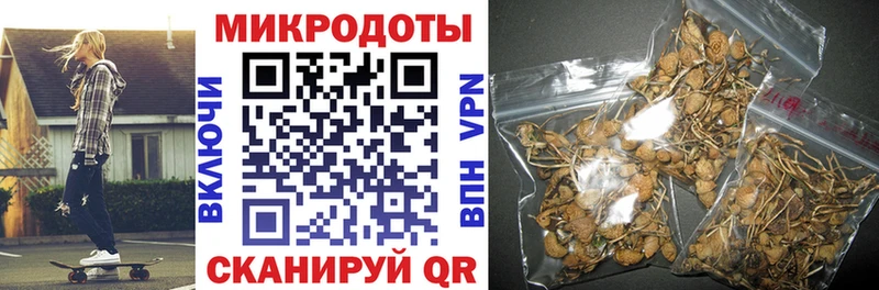 Псилоцибиновые грибы GOLDEN TEACHER  наркота  даркнет официальный сайт  Гремячинск 